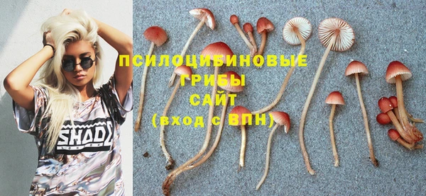 MESCALINE Баксан