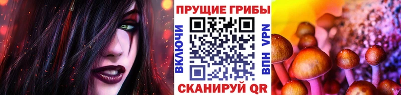 нарко площадка телеграм  Нижний Ломов  Псилоцибиновые грибы Cubensis 
